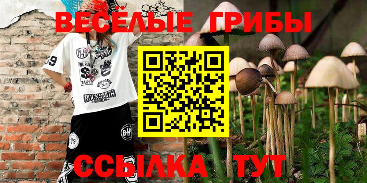 Псилоцибиновые грибы прущие грибы Сальск