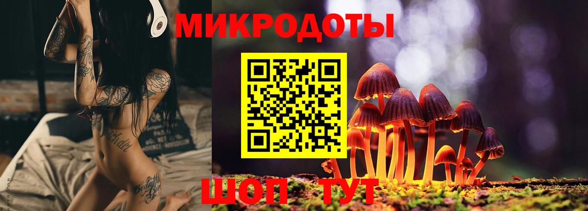 Псилоцибиновые грибы MAGIC MUSHROOMS  Вход с VPN  Сальск 